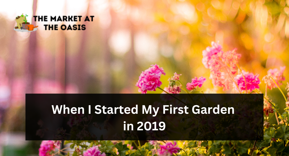 When I Started My First Garden in 2019
